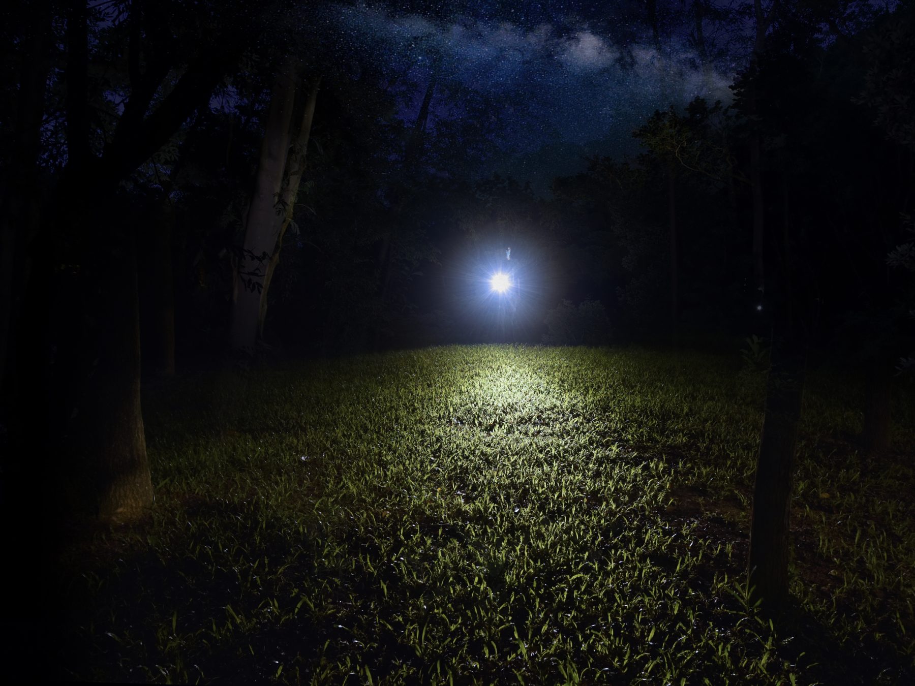 Latarka LED Fenix E12 V2.0 - obrazek 5