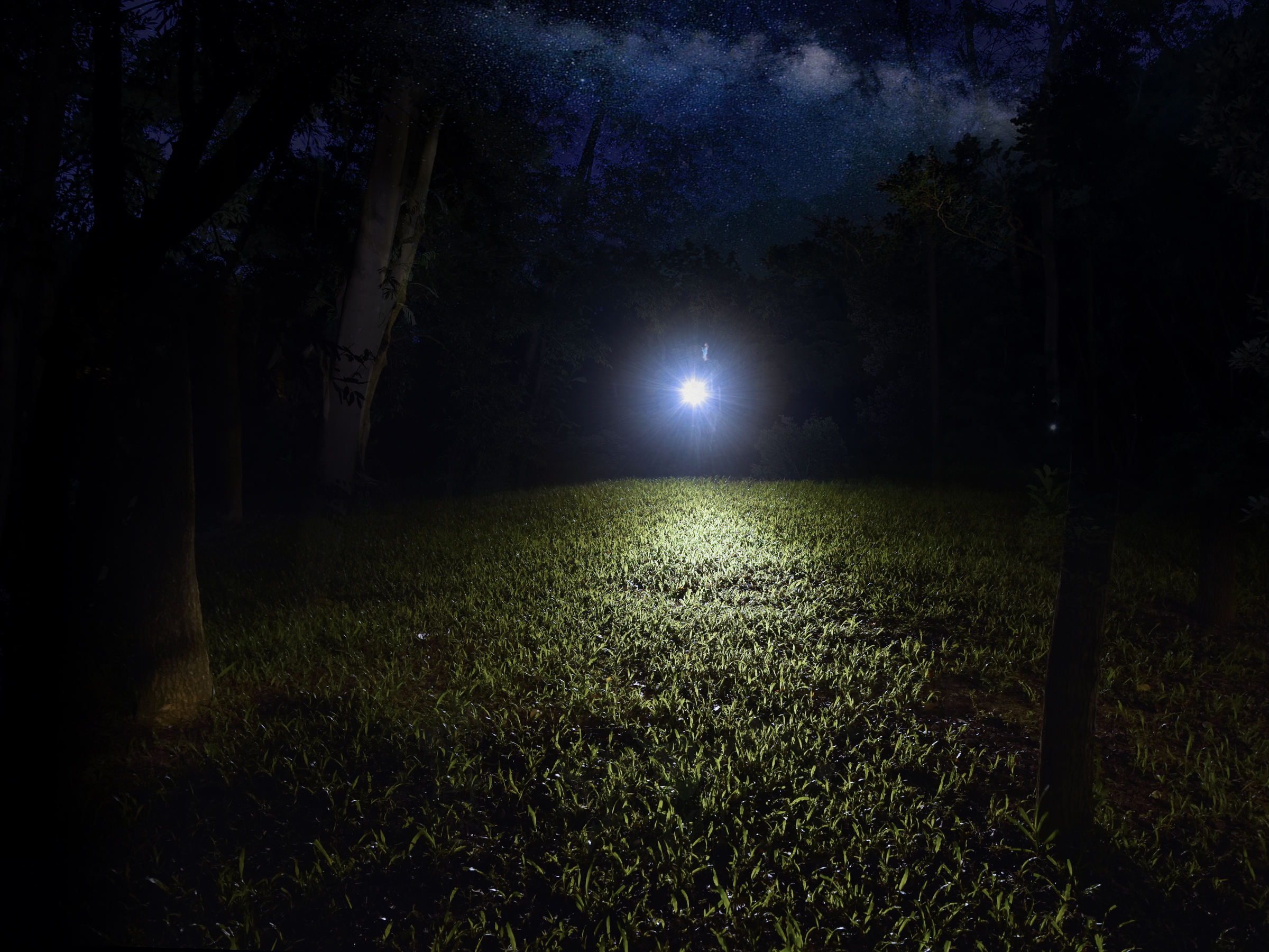 Latarka LED Fenix E12 V2.0 - obrazek 5